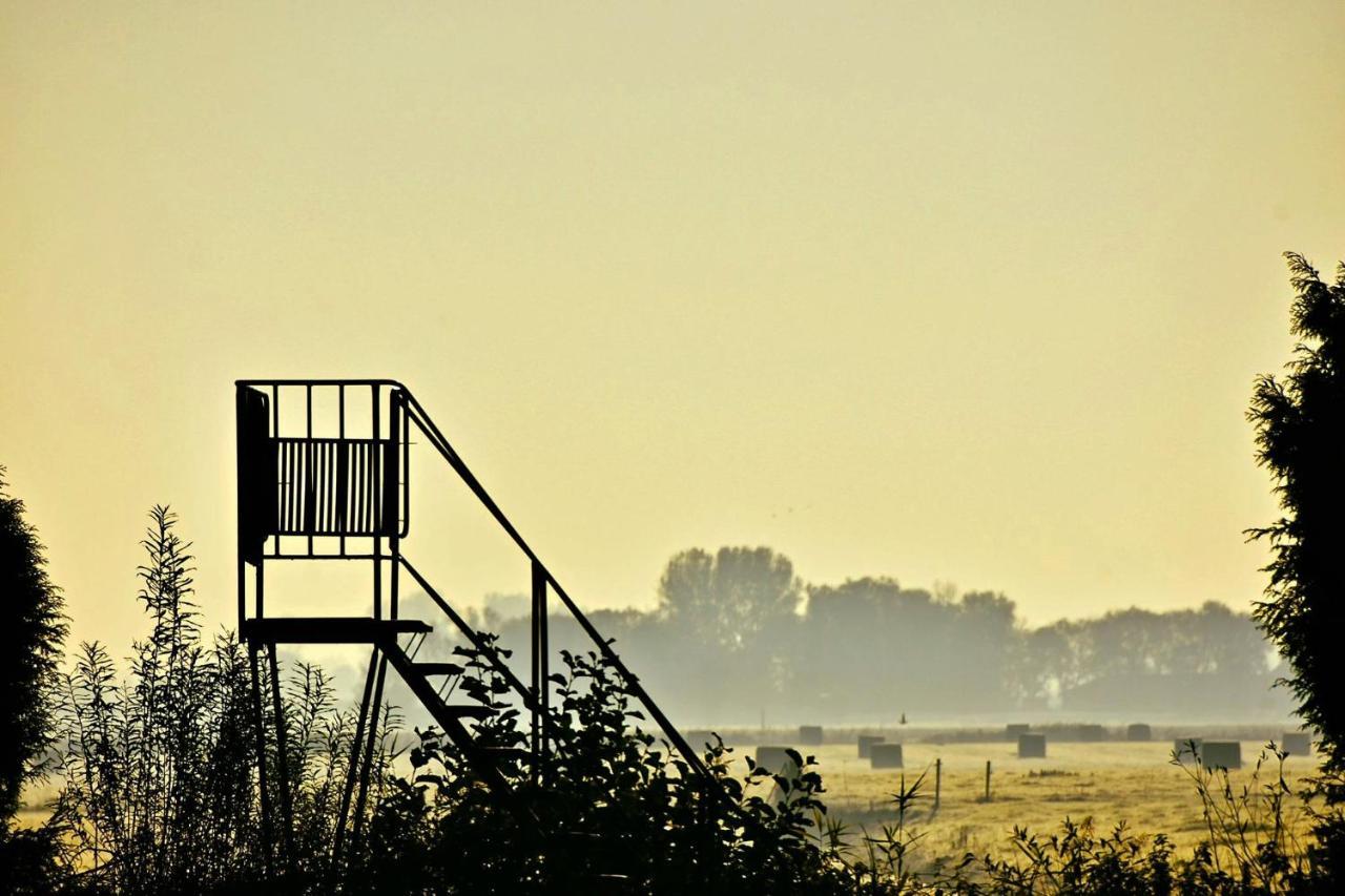 Vakantiehuis Het Voorhuis Op Landgoed Koepeltjesplaats Gaast エクステリア 写真