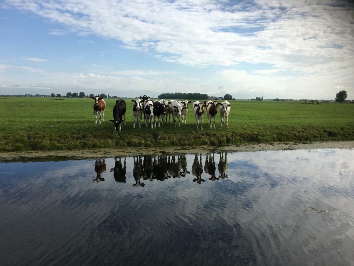 Vakantiehuis Het Voorhuis Op Landgoed Koepeltjesplaats Gaast エクステリア 写真