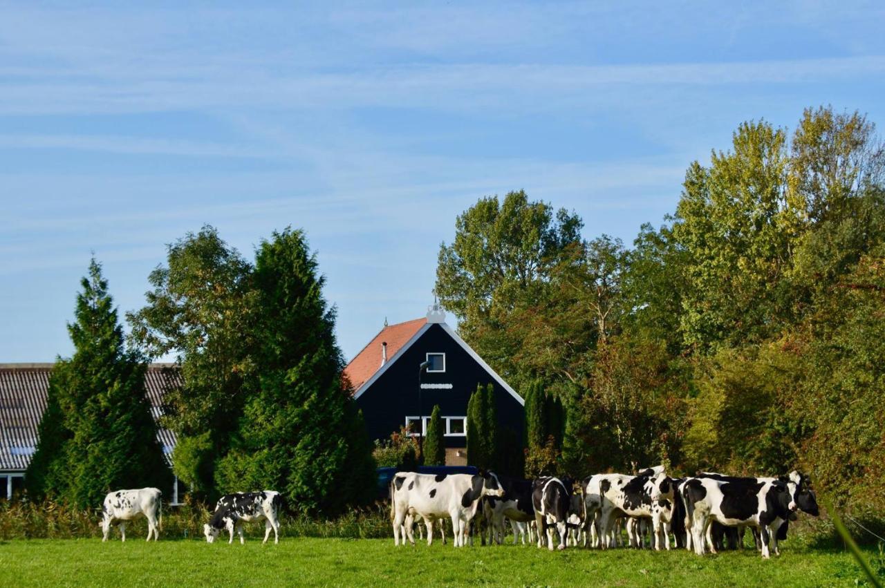 Vakantiehuis Het Voorhuis Op Landgoed Koepeltjesplaats Gaast エクステリア 写真