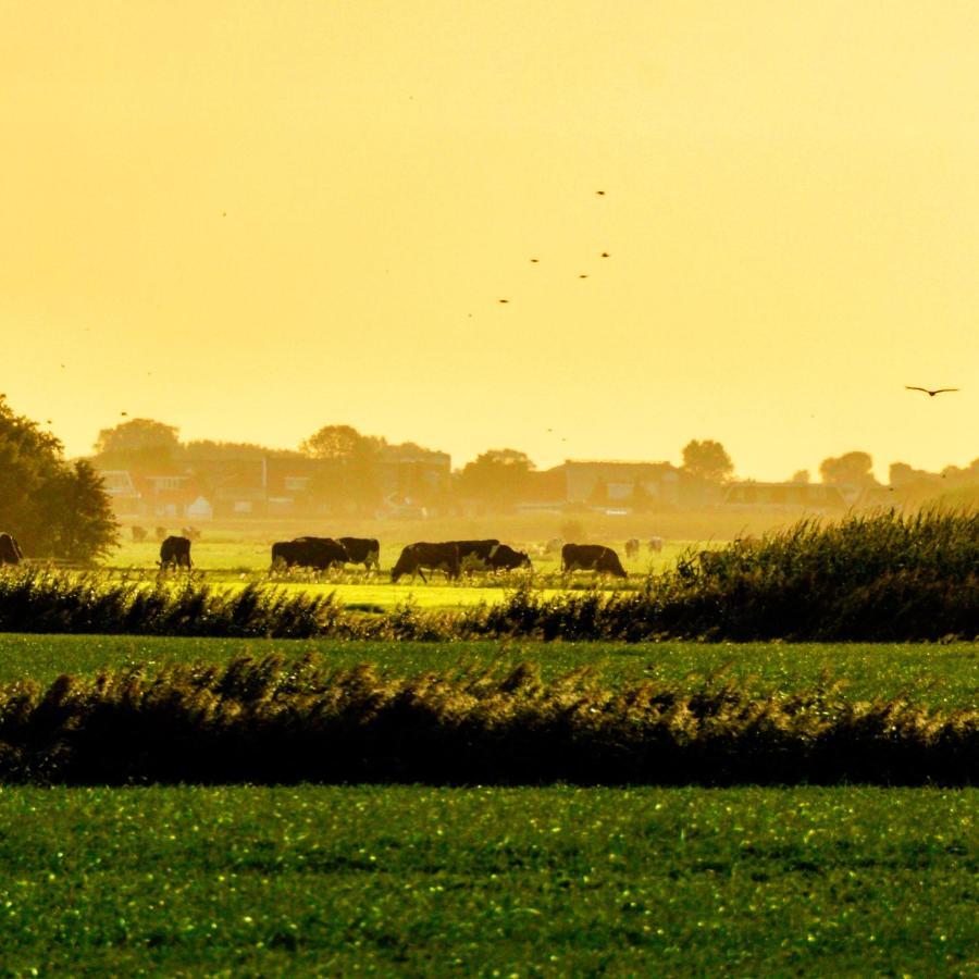 Vakantiehuis Het Voorhuis Op Landgoed Koepeltjesplaats Gaast エクステリア 写真