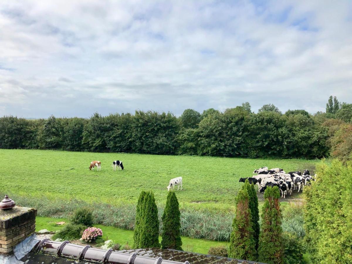 Vakantiehuis Het Voorhuis Op Landgoed Koepeltjesplaats Gaast エクステリア 写真