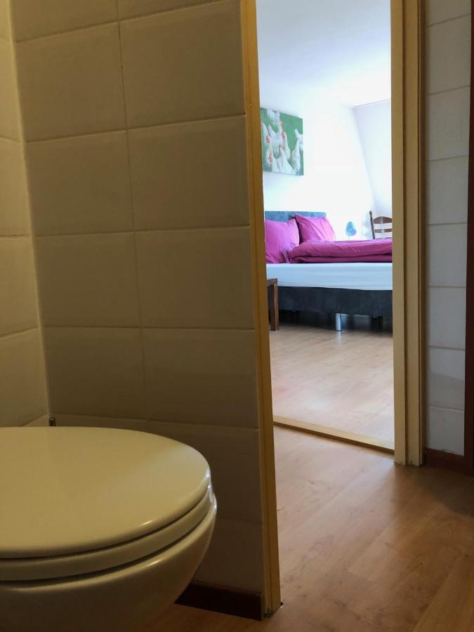 Vakantiehuis Het Voorhuis Op Landgoed Koepeltjesplaats Gaast エクステリア 写真