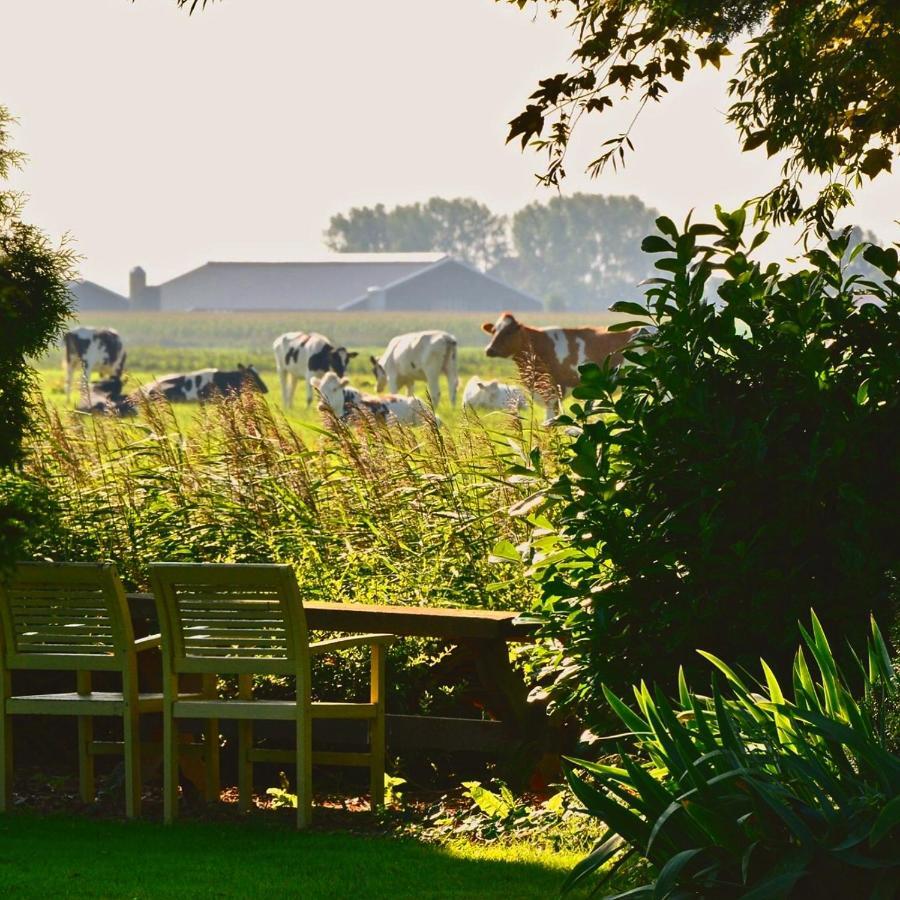 Vakantiehuis Het Voorhuis Op Landgoed Koepeltjesplaats Gaast エクステリア 写真